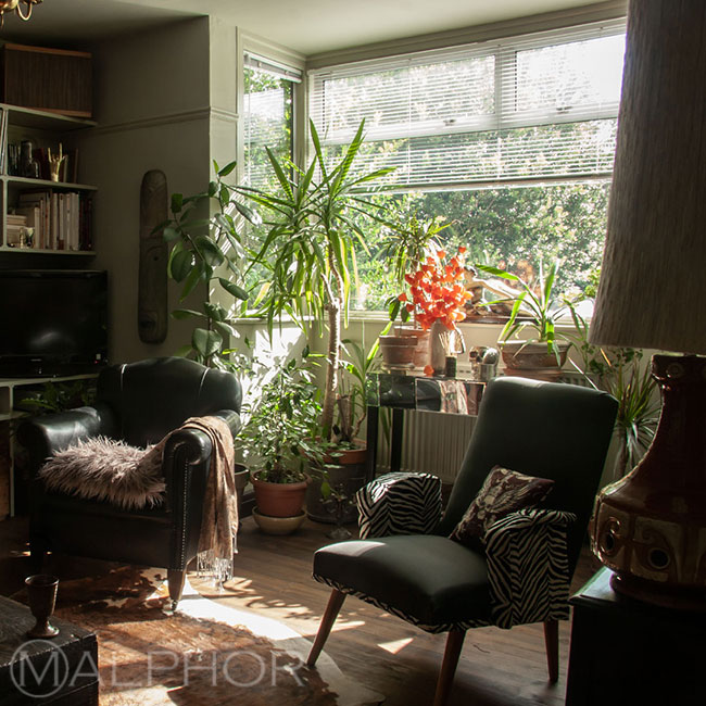 Bay window filled with plants